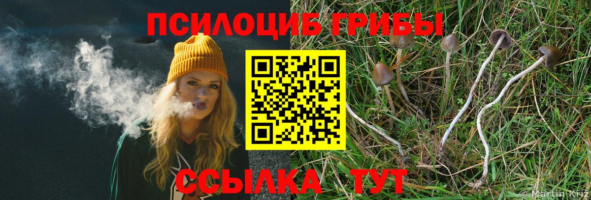 Великий Новгород  Галлюциногенные грибы Psilocybine cubensis  цена наркотик  Вход с VPN 