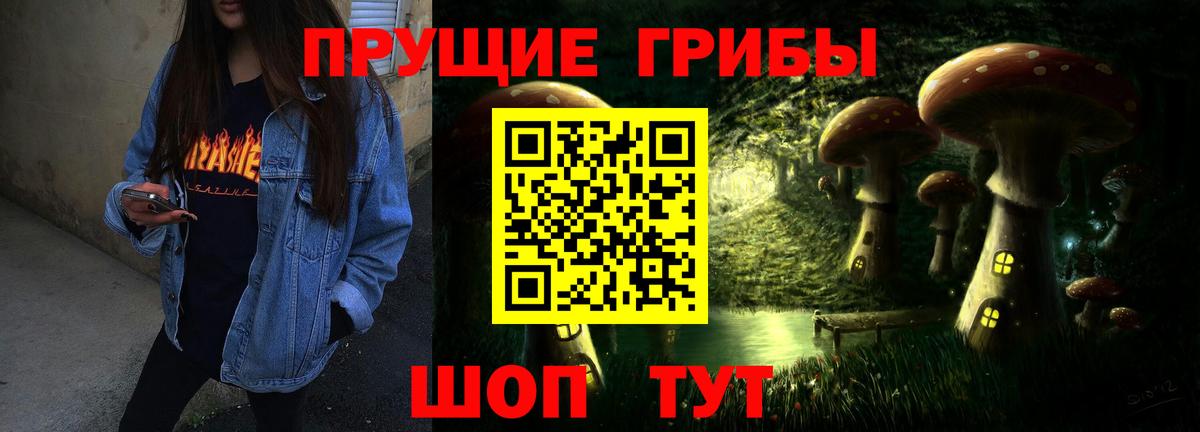 Псилоцибиновые грибы Psilocybe Великий Новгород